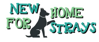 New Home for Strays